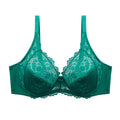 1ced0005-7452-40d4-892d-f29515d15dbe - Poised Curves